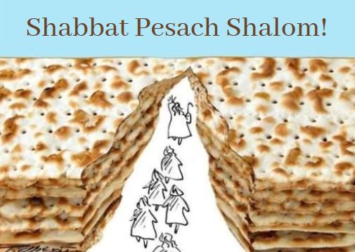 Shabbat Shalom 4.15.22